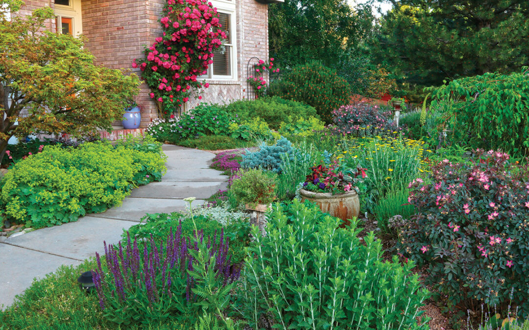 Using a Garden Planner to Avoid Irrigation Dead Zones