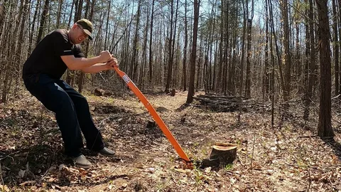 Fast and Reliable Stump and Tree Removal for Your Property
