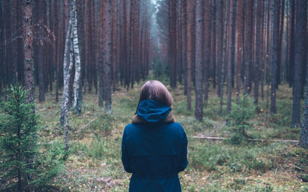 Spider Clothing: The Popularity of Sp5der Clothing and Spider Hoodies in Modern Fashion
