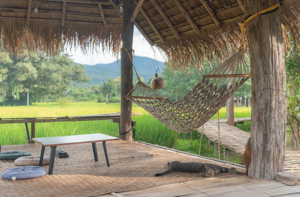 Paddy View Resort: Where Nature, Serenity, and Comfort Come Together