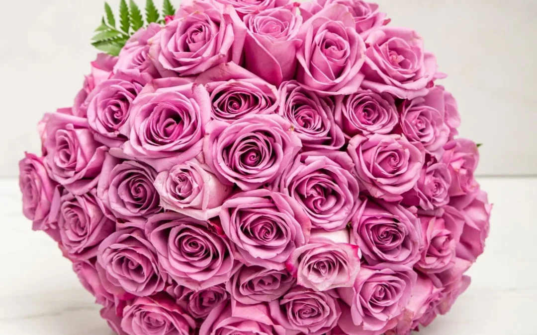 Best Flower Shop in Brampton Ontario for Every Occasion