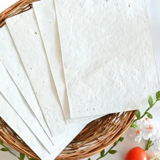 Trusted Seed Paper Manufacturer for Sustainable Business Branding